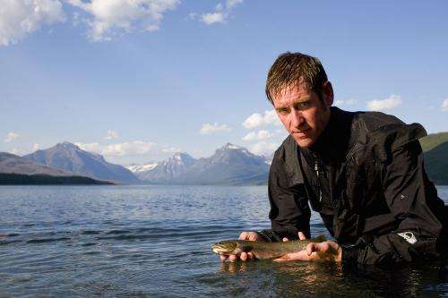 Climate change accelerates hybridization between native and invasive species of trout