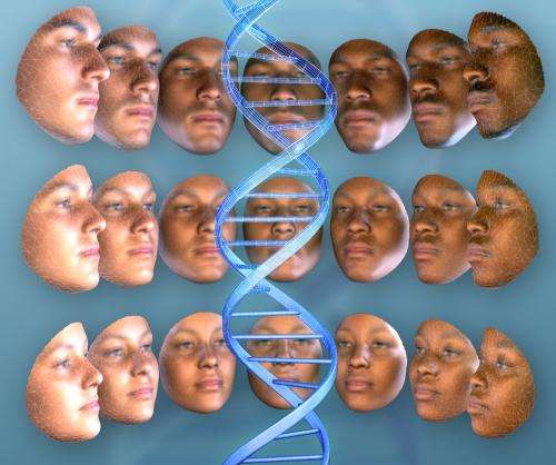 3-D model links facial features and DNA