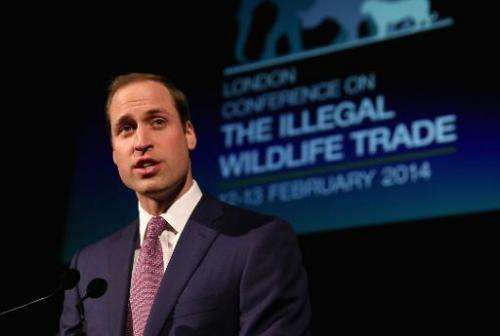 Britain's Prince William gives a speech at a reception for the Illegal Wildlife Trade conference in London on February 12, 2014