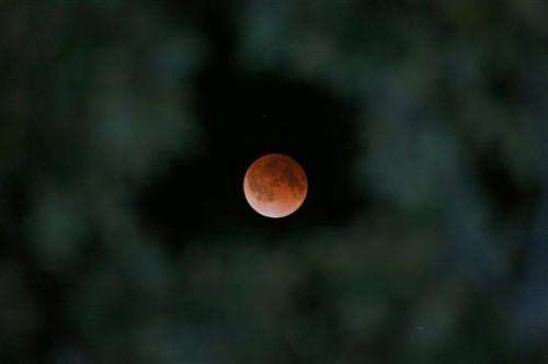Full lunar eclipse delights Americas, first of year