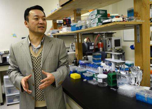 Researcher uses Jell-O-like substance to attract and kill cancer cells