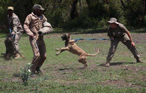 South African academy trains anti-poaching dogs