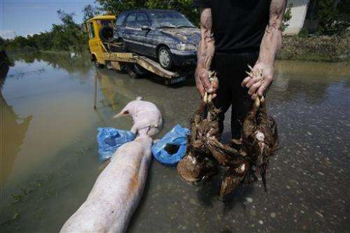 Tons of drowned livestock a new Balkan threat