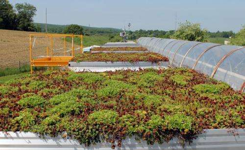 Virginia Tech architect reveals 'green roofs' need not go to great depths to work