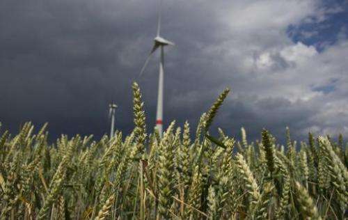Wind turbines operate near a barley field in the town of Feldheim, Germany, June 20, 2011