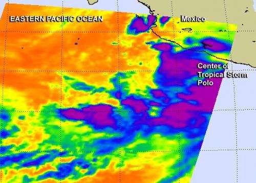 NASA sees Tropical Storm Polo intensifying