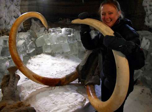 40,000-year-old blood brings mammoth cloning closer