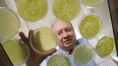 Researchers identify algae-virus DNA in humans