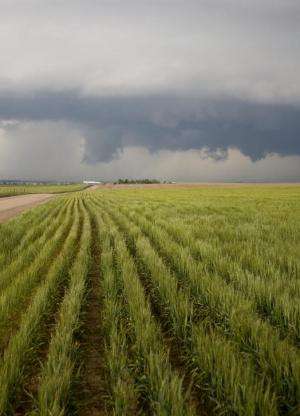 Climate change increases risk of crop slowdown in next 20 years