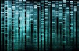 Researchers identify new genetic cause of epilepsy
