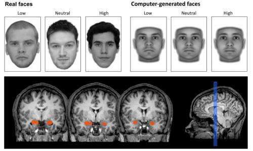 Our brains judge a face's trustworthiness -- even when we can't see it