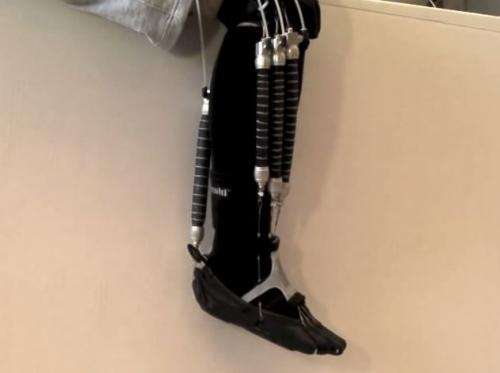 Researcher takes a muscular approach to robotics