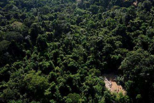 An aerial view of the Amazonic forest reserve of Trairao, in northern Brazil, December 4, 2011