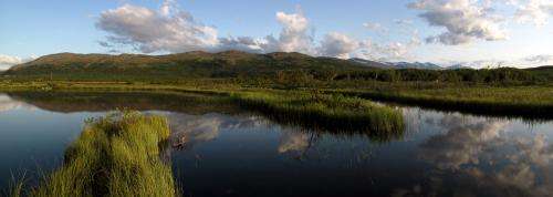 Global warming may increase methane emissions from freshwater ecosystems