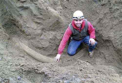 Owner lets museum to dig up Seattle mammoth tusk