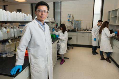 Research team discovers molecule that may help fight cancer drug resistance