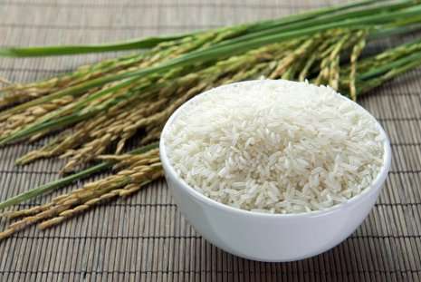 Scientists ID genes that could lead to tough, disease-resistant varieties of rice