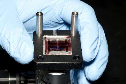 Scientists shed light on organic photovoltaic characteristics