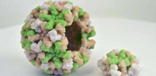 Scientists take step towards drug to treat norovirus stomach bug
