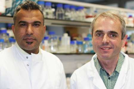 Scientists uncover potential new defence against hospital-acquired infections