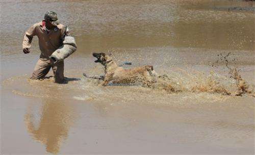 South African academy trains anti-poaching dogs