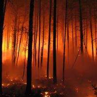Climate change to increase forest fire danger in Europe