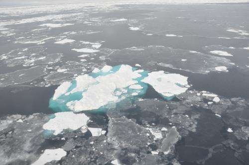 Arctic is warming at twice the rate of anywhere else on Earth