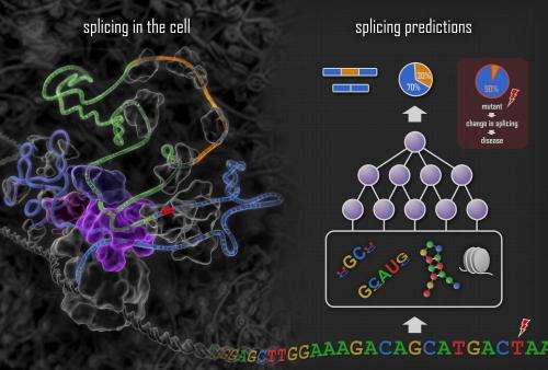 'Deep learning' reveals unexpected genetic roots of cancers, autism and other disorders