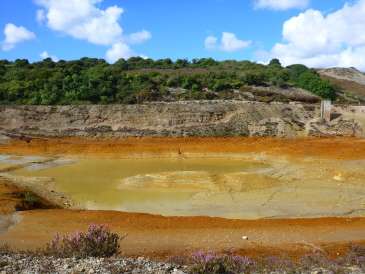 Researchers to use algae to clean up mine water