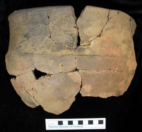 From surf to turf: Archaeologists and chemists trace ancient British diets