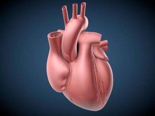 New blood test identifies heart-transplant rejection earlier than biopsy can