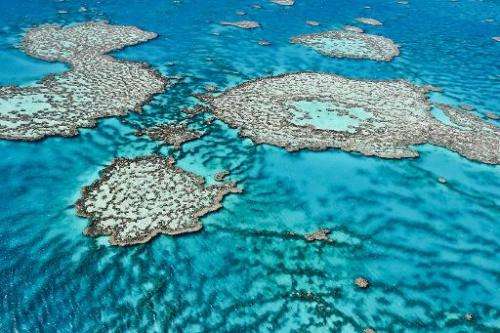 An aerial view of the Great Barrier Reef off the coast of Australia, taken August 1, 2013 by the Australian Institute of Marine 