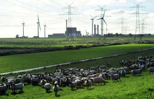 A photo taken on September 21, 2010 shows a flock of sheep grazing near the Brunsbuettel nuclear power plant on in Brunsbuettel,