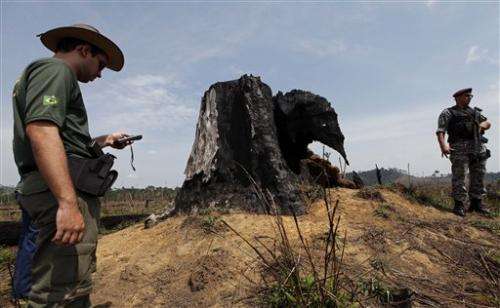 Deforestation may be at root of Brazil drought