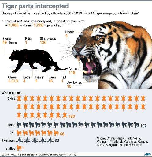 Graphic on the seizure of illegal tiger parts from 2000-2010