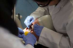 New research set to improve quality of life for denture patients