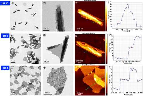Researcher develops optically traceable smart 2-D nanosheet that responds to pH