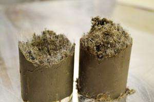Researchers give unstable soils a carpeting