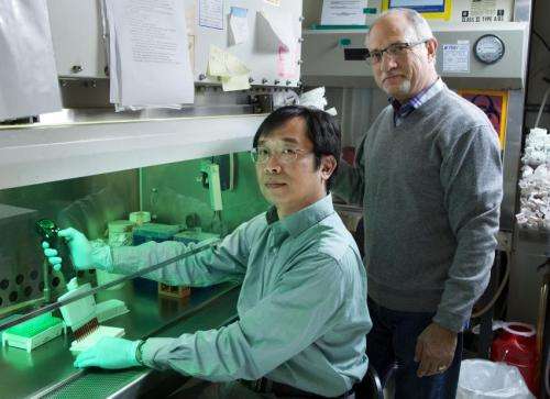 Salk scientists unveil powerful method to speed cancer drug discovery