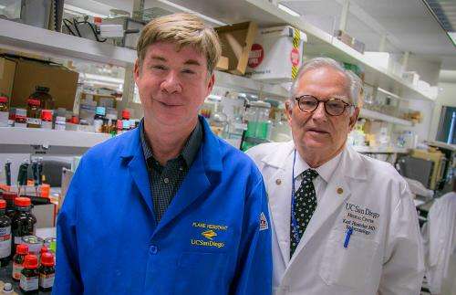 Scientists try brincidofovir against Ebola