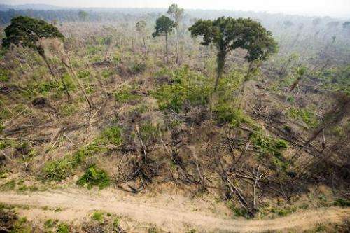 An aerial view taken on November 29, 2009 shows a burnt out sector of the Jamanxim National Forest at an illegal settlement in t