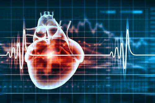 Development of software that “predicts” sudden cardiac death