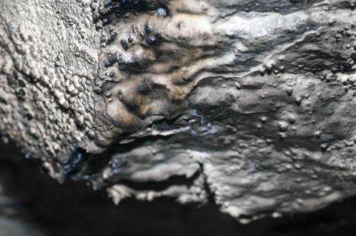 New discovery: Microbes create dripstones