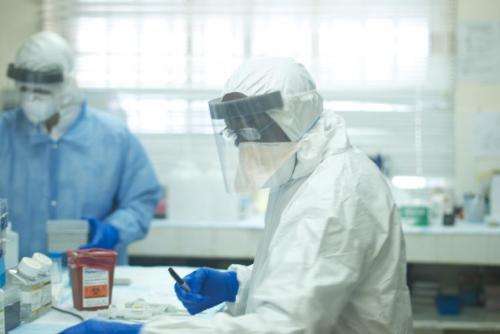 Genomic sequencing reveals mutations, insights into 2014 Ebola outbreak