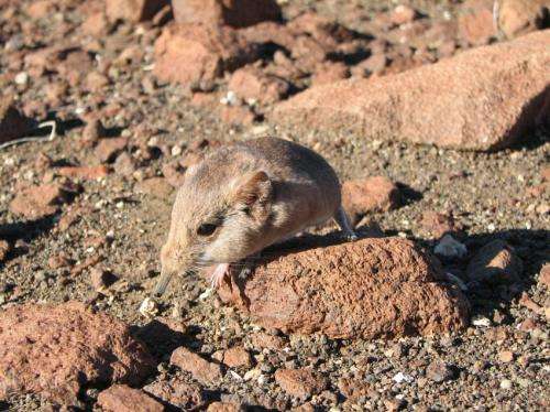 New species of small mammal discovered by scientists from California Academy of Sciences