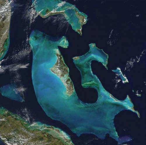New research suggests Saharan dust is key to the formation of Bahamas' Great Bank