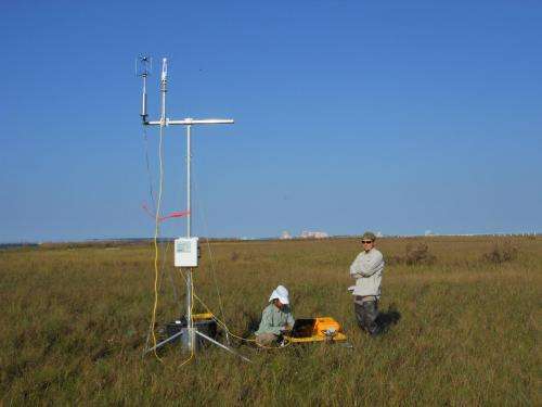 Researcher developing satellite-mapping tools to measure carbon capture in salt marshes