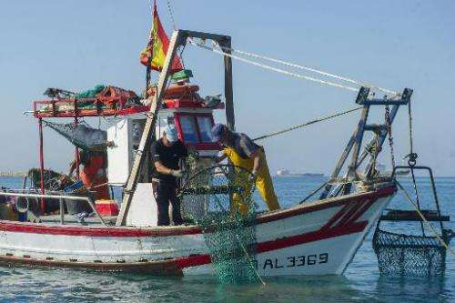 This photo taken on August 16, 2013 shows fishermen fish with dredge nets far from an area where Gibraltar dropped the now parti