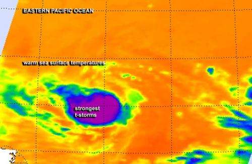 Tropical Storm Karina: status quo on infrared satellite imagery