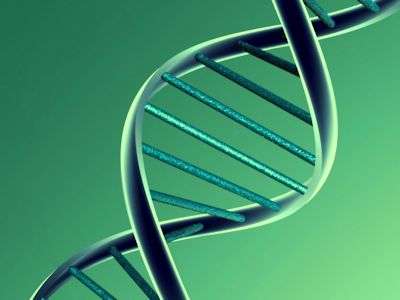 Researchers develop genetic profile of the Netherlands